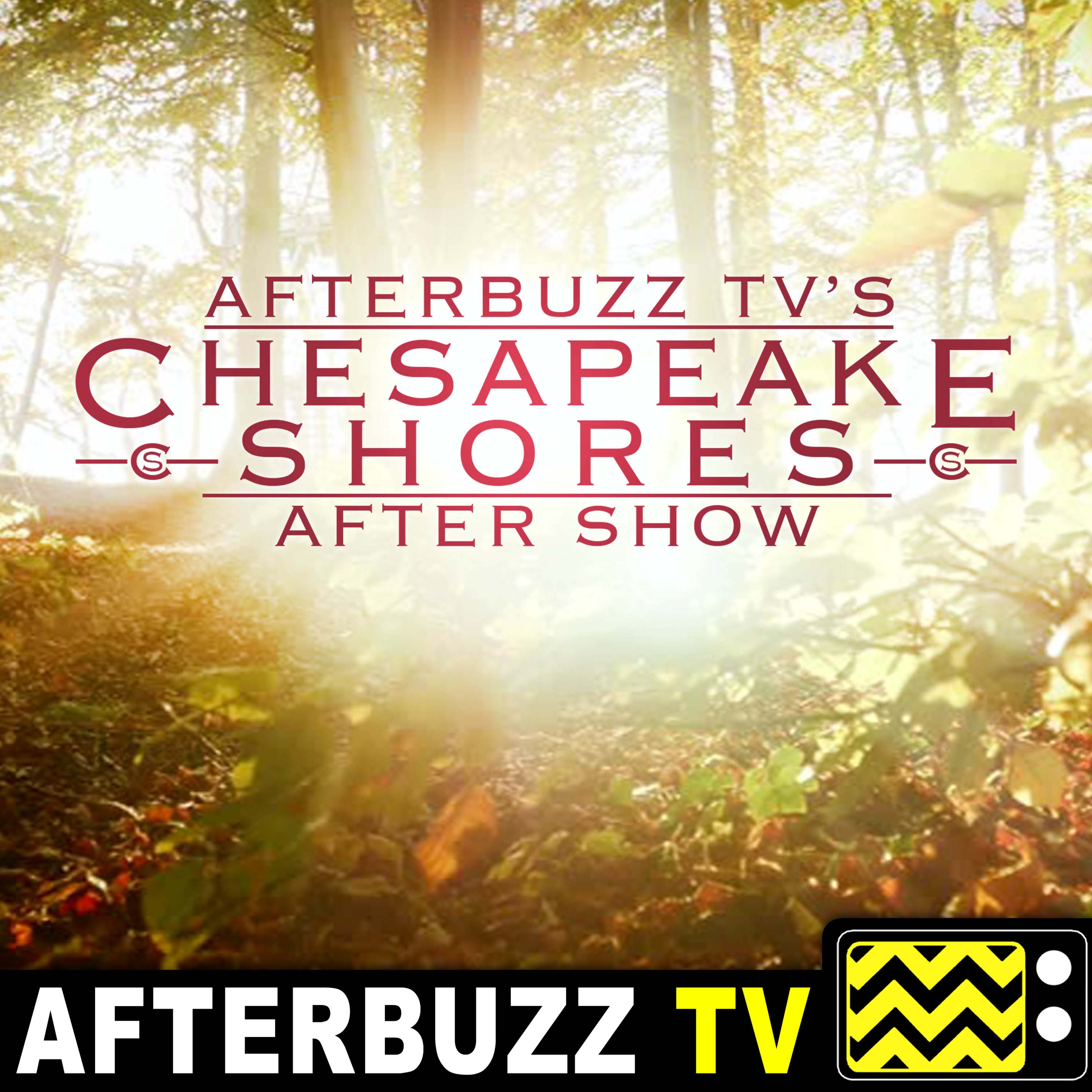 Chesapeake Shores S:3 | Here and There E:6 | AfterBuzz TV AfterShow