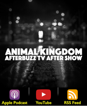 Animal Kingdom